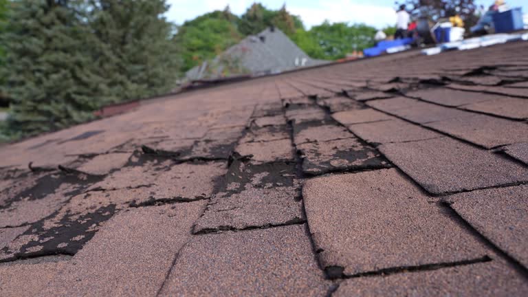 Professional Roofing Service in Arbury Hills, IL