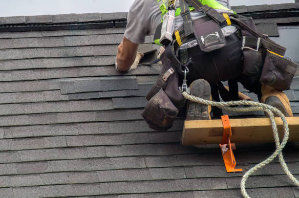 Asphalt Shingles Roofing in Arbury Hills, IL