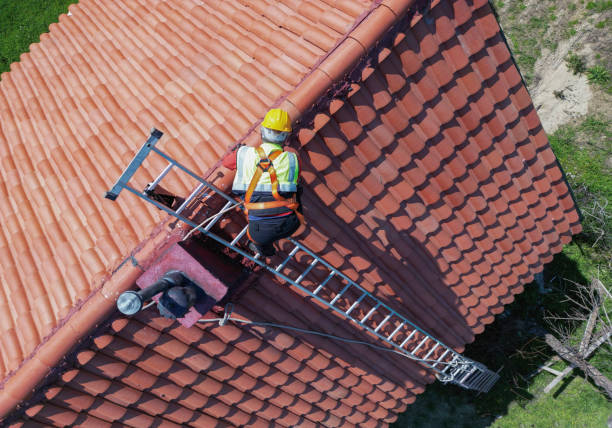 Best Flat Roofing  in Arbury Hls, IL