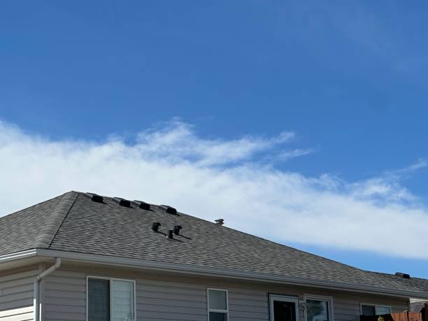 Best Sheet Metal Roofing  in Arbury Hls, IL